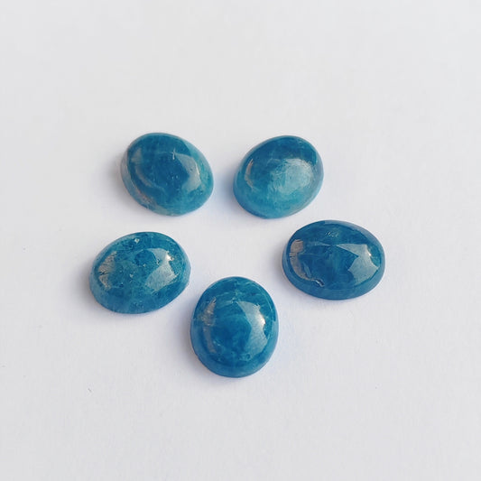 Five blue gemstones on a white background