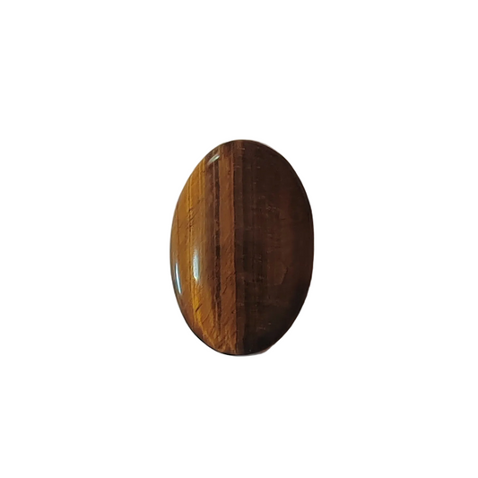 tiger eye on a white background