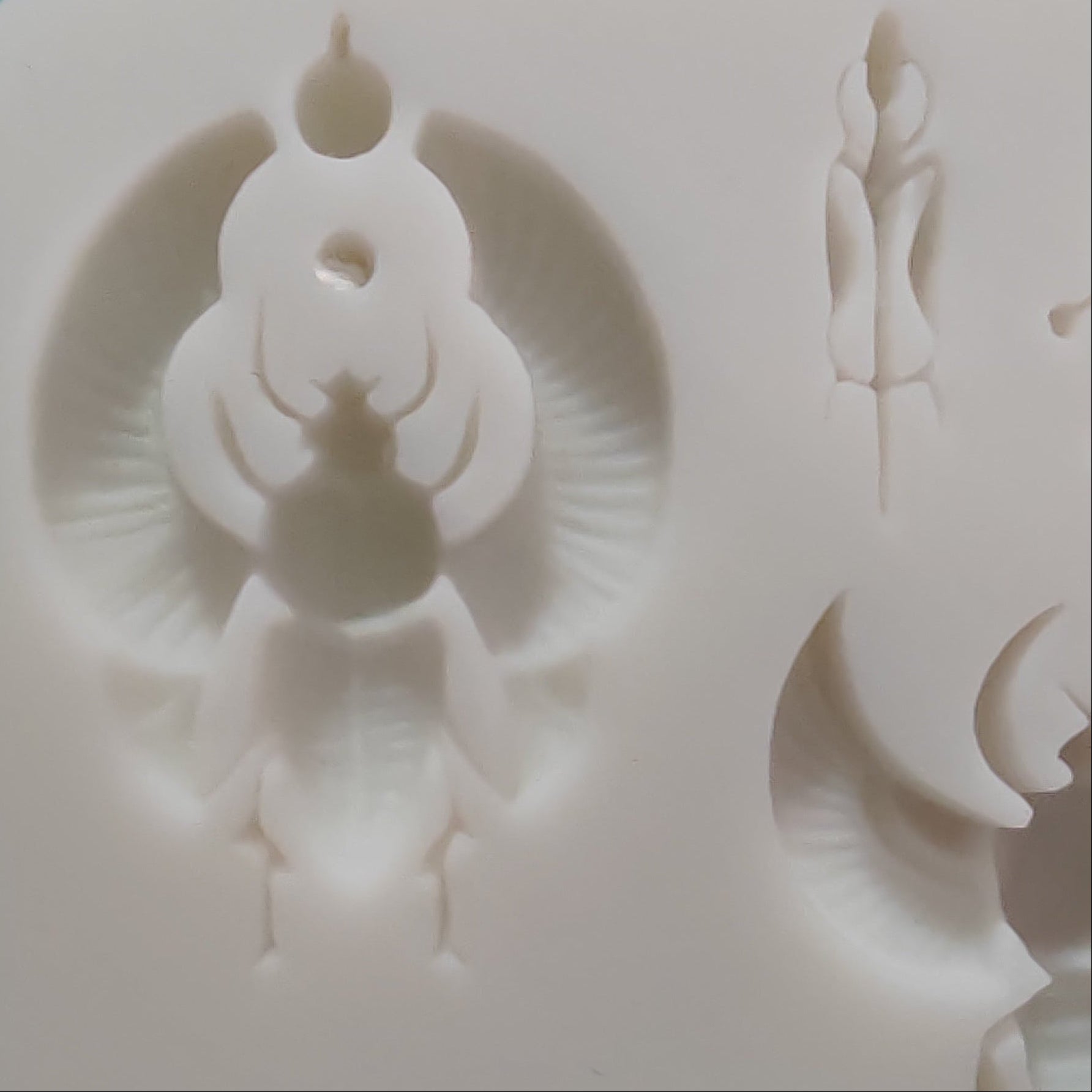 A white silicone mold tray with multiple cavities, including one large beetle.