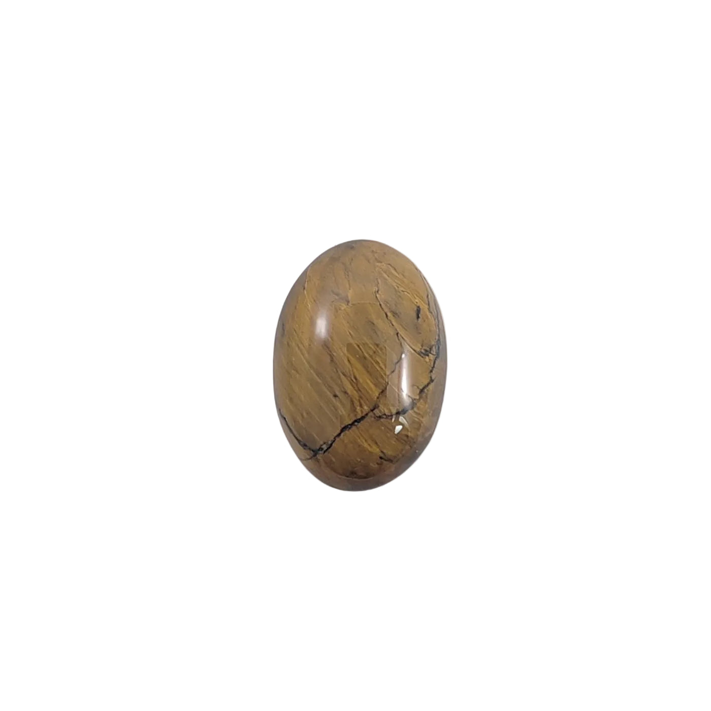 Oval-shaped brown stone on a white background