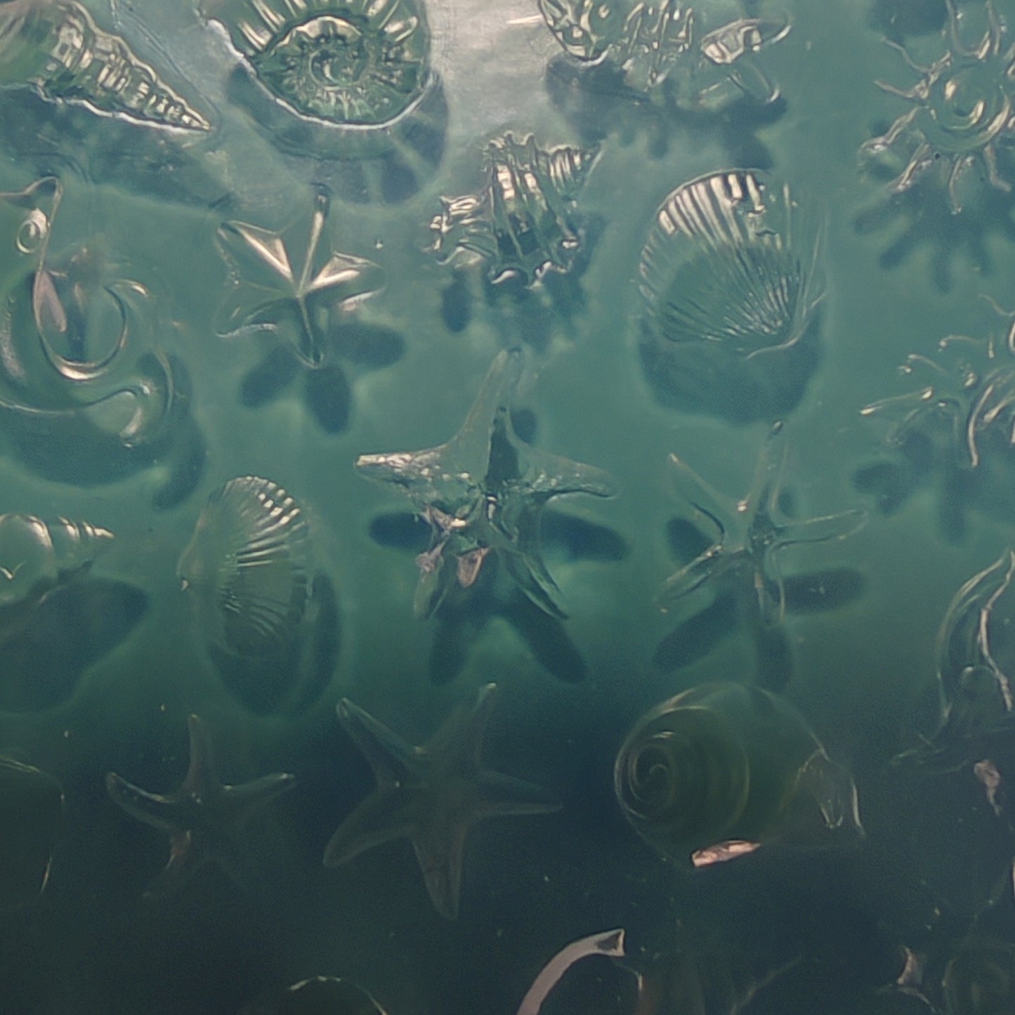 A close-up of a translucent green textured surface with embossed starfish, seashells, and abstract organic shapes.