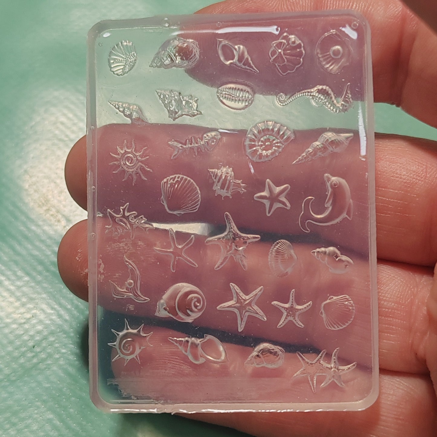 A hand holding a clear plastic square mold or stamp featuring embossed sea-themed designs like seashells, starfish, and a dolphin, photographed against a light mint-green textured background.